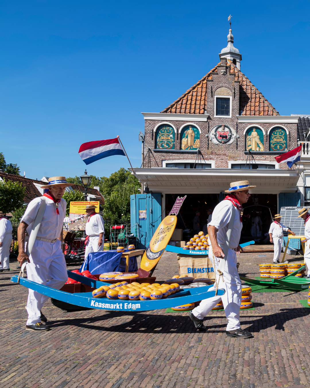 The Quiet Art of Dutch Cheese — And Why You Should Skip the Tourist Shops