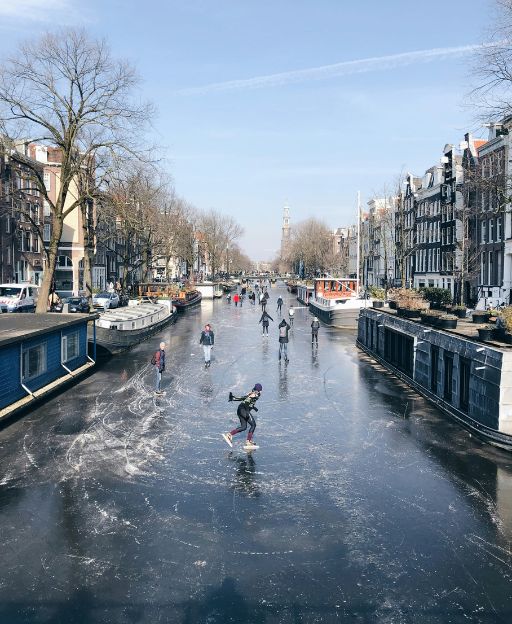 Why the Dutch Ate Tulip Bulbs One Winter — and Never Forgot It