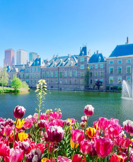 The Dutch City That Governs a Nation and Houses the World’s Courts