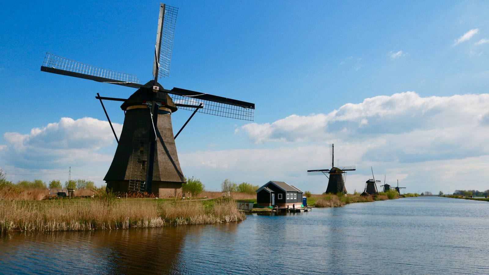 The Dutch National Park With Wild Boar, Free Bikes and No Tourist Queues