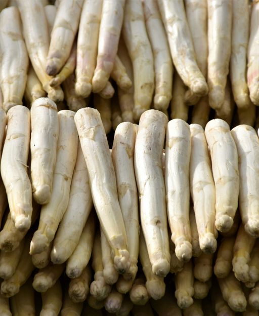 Bundles of white asparagus at a Dutch market stall in spring