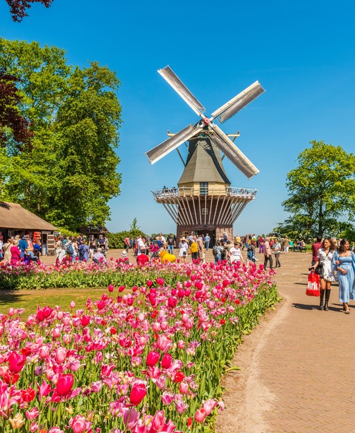 Keukenhof Gardens: The Complete Visitor Guide