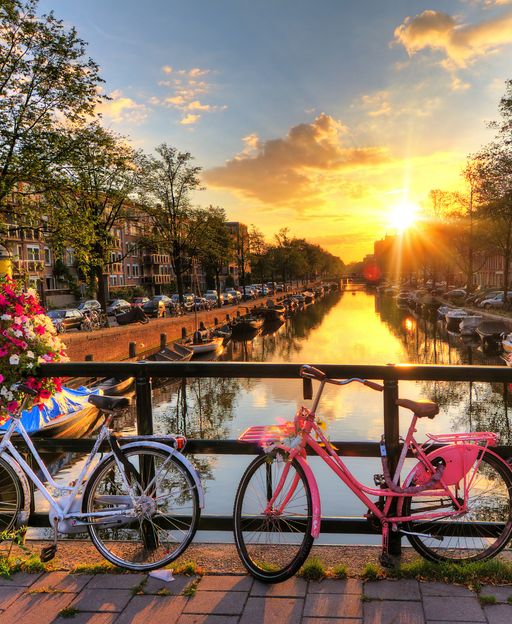 Bicycles and flowers on an Amsterdam canal bridge at sunrise, the Netherlands
