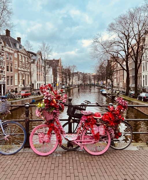 Colourful bicycles lined up along a canal in the Netherlands