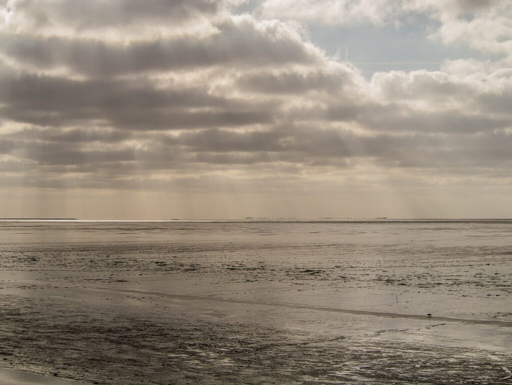 The Wadden Islands — Choosing Your Island