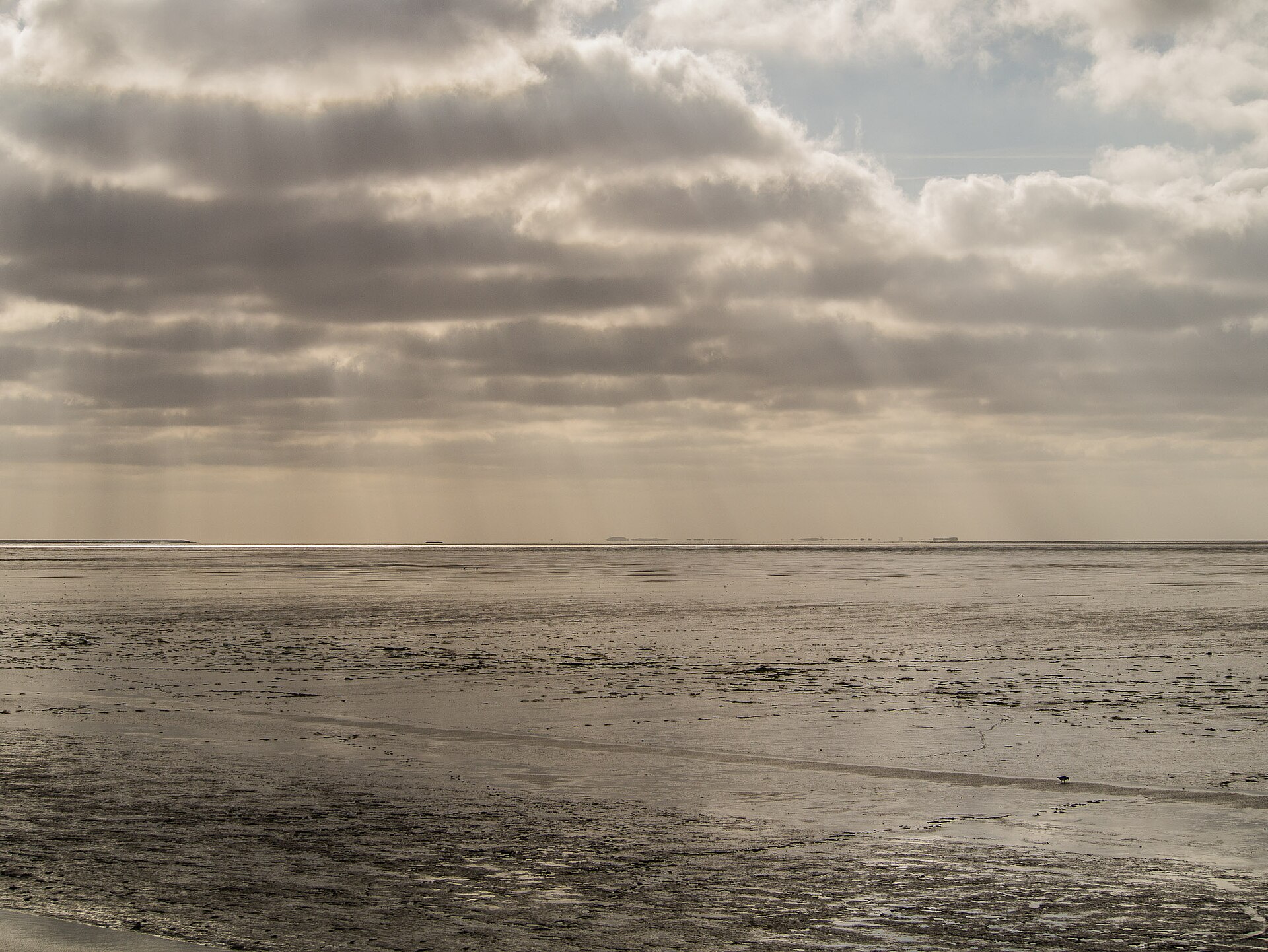 The Wadden Islands — Choosing Your Island