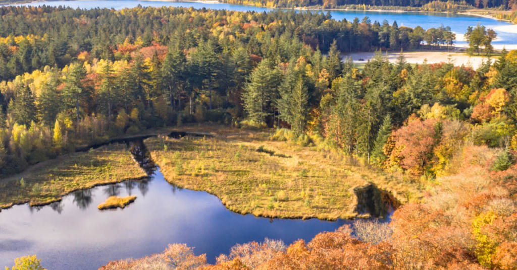 Dutch Surnames of Drenthe: Origins and Meanings