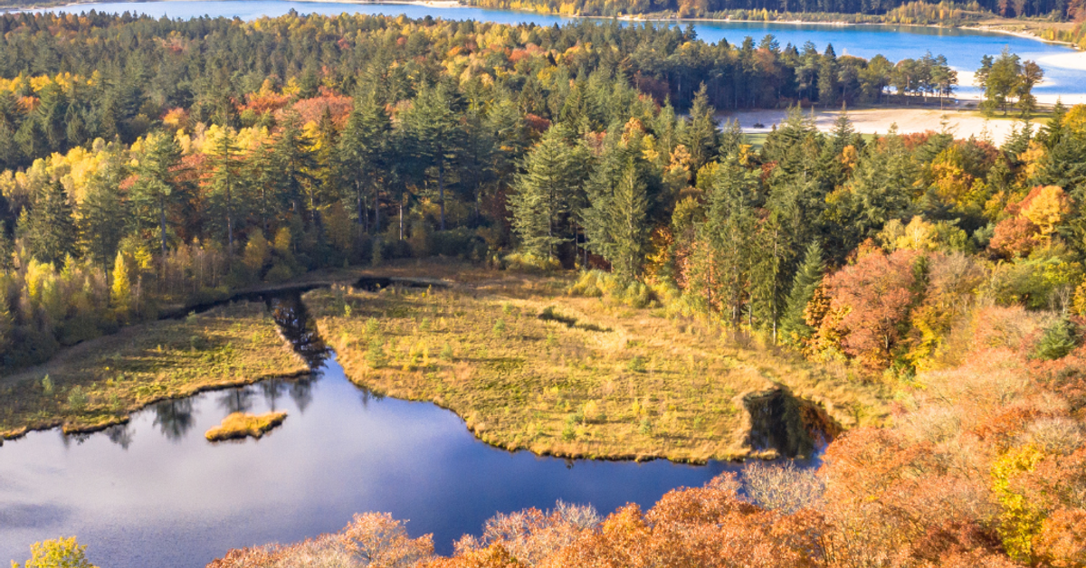 Newsletter: Drenthe’s Hidden Family Names — Uncover the fascinating stories behind your Dutch ancestry in this ancient northeastern province.