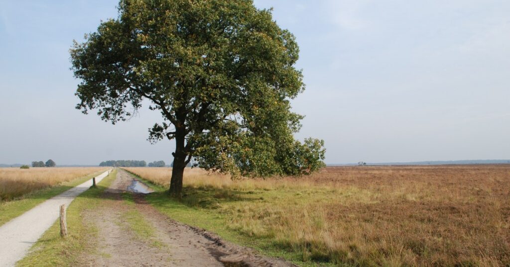 The Quiet Kingdom: A Complete Guide to Drenthe
