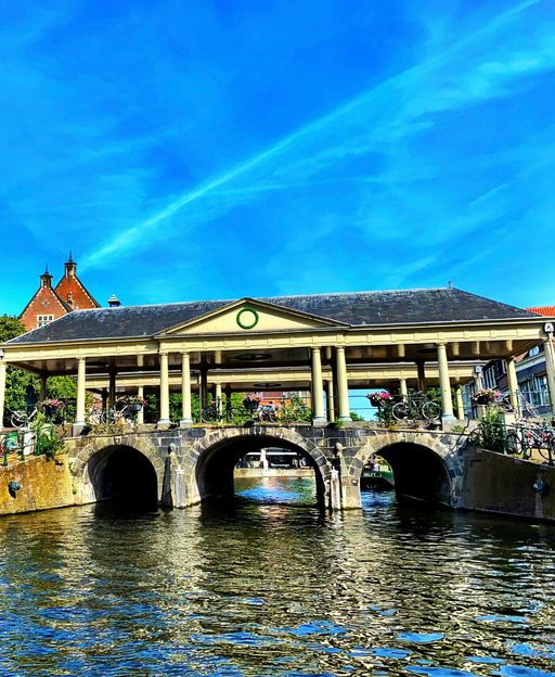Newsletter: Your South Holland Family Story — Uncover the origins and meanings behind iconic Dutch surnames from this captivating province.