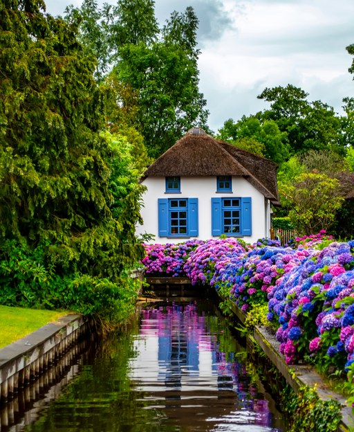 Giethoorn Day Trip from Amsterdam: The Complete Guide