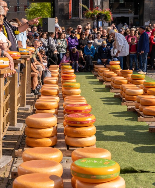 Gouda cheese market stalls with wheels of Dutch cheese in the Netherlands