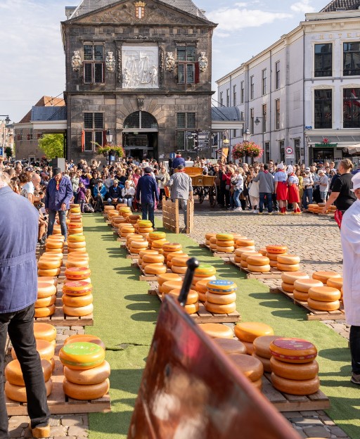 Wheels of Dutch cheese at the Gouda cheese market in the Netherlands