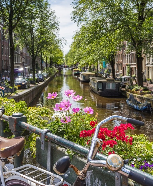 The Jordaan, Amsterdam: The Complete Neighbourhood Guide (2026)
