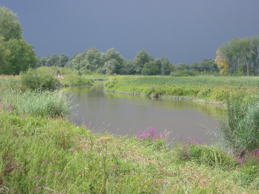 Nationaal Park De Biesbosch, Netherlands