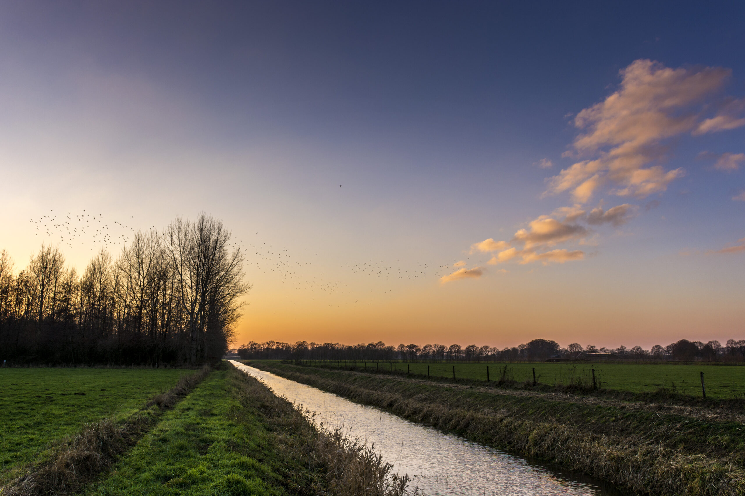 Keizersbeek stream winding through the Achterhoek countryside, Gelderland, Netherlands
