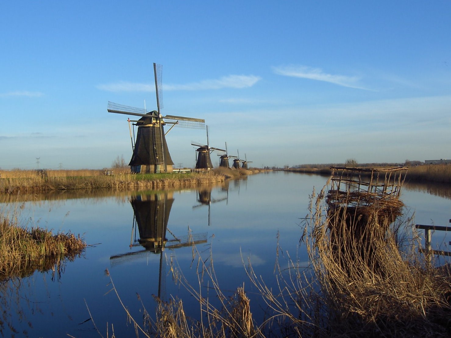 Cycling in the Netherlands: A Guide for Visitors