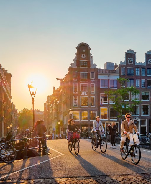 Cycling in the Netherlands: A Complete Visitor’s Guide (2026)
