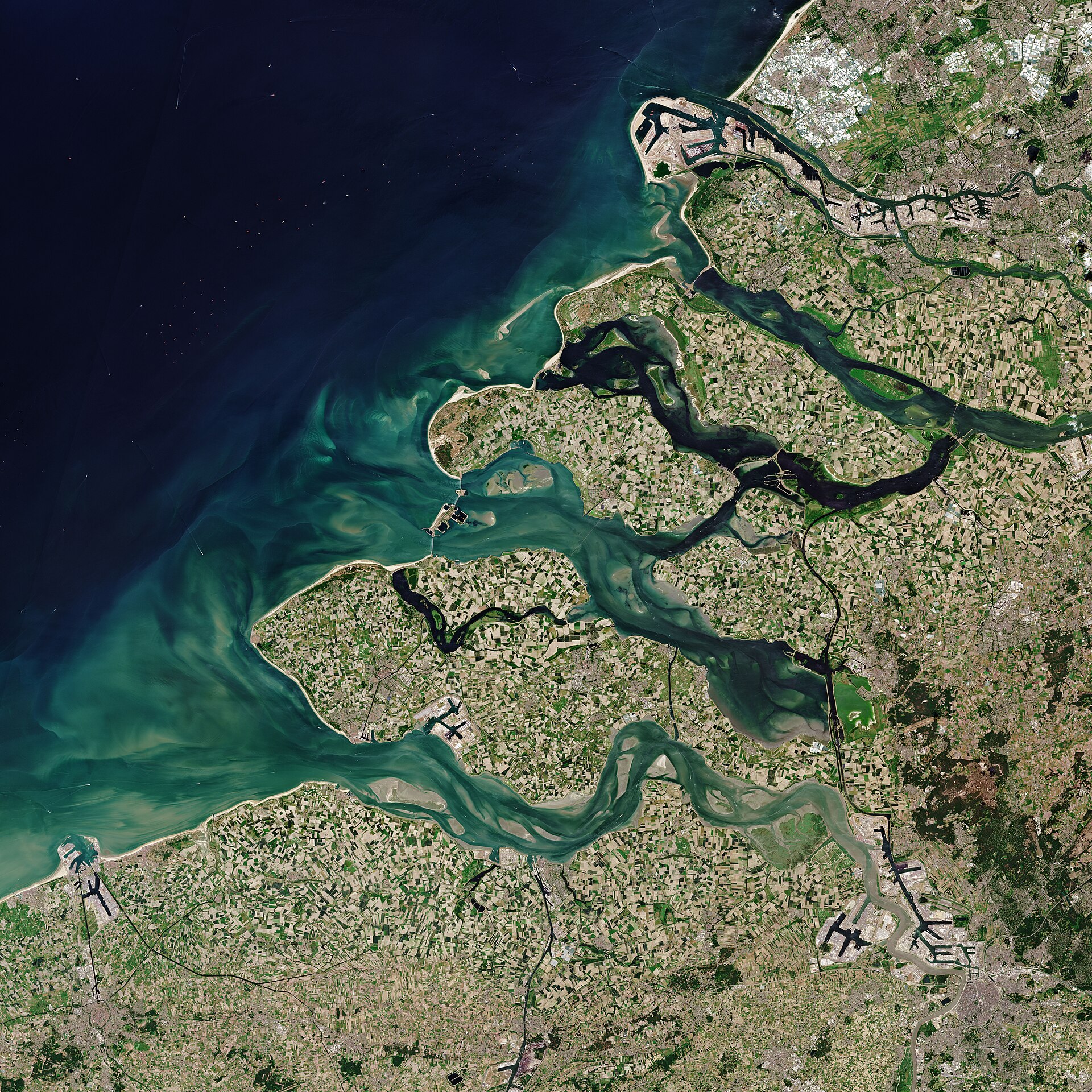 Discover Your Zeeland Roots: Heritage, Diaspora, and Family History