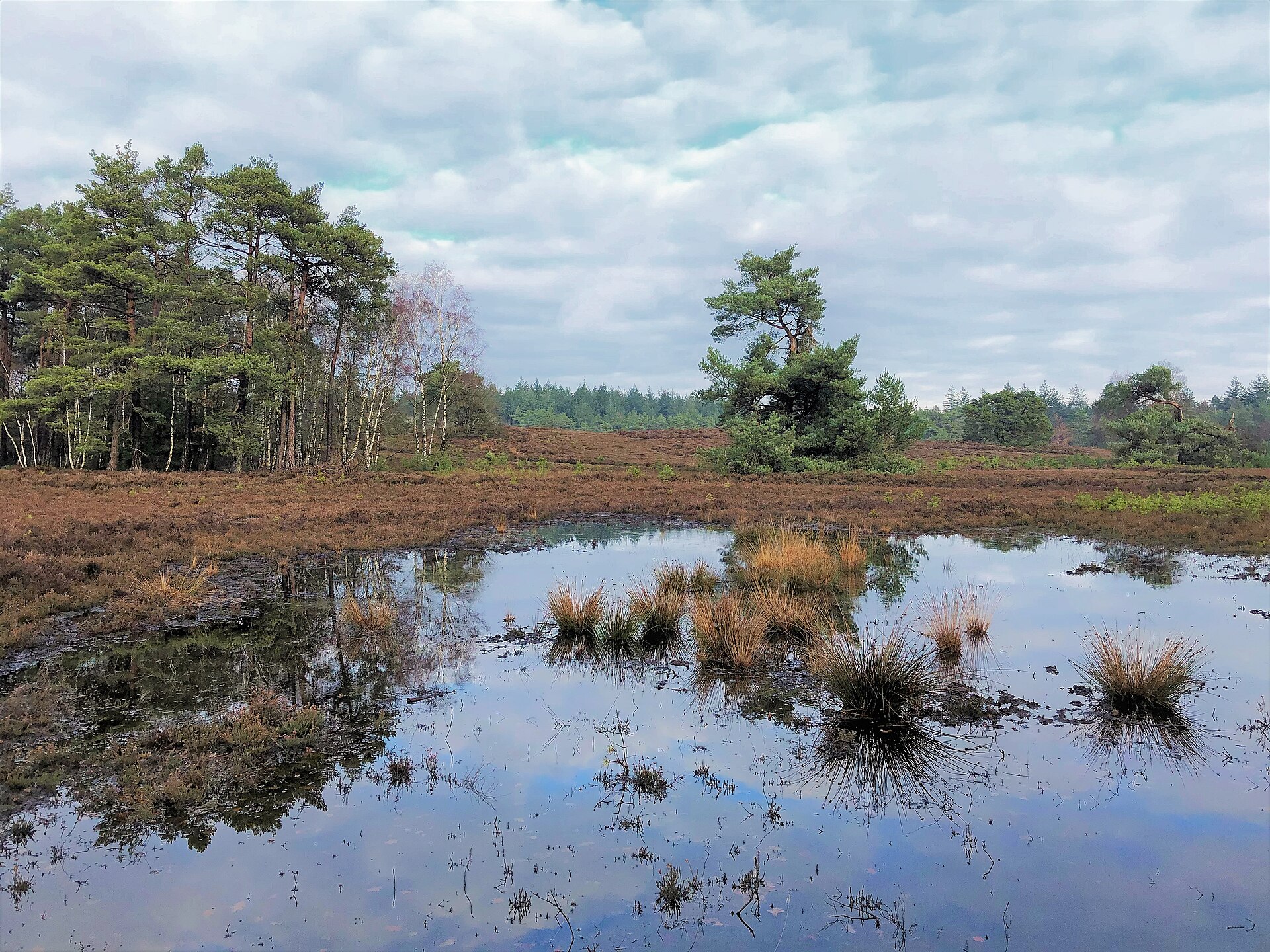 Dutch Surnames of Gelderland: Origins and Meanings