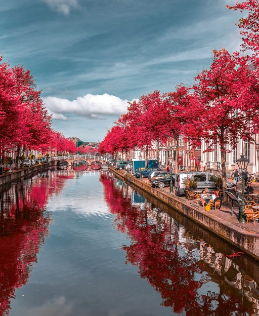 Discover Your South Holland Roots: Heritage, Diaspora, and Family History