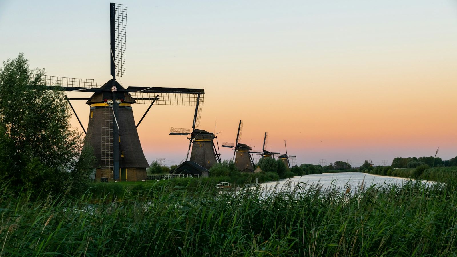 The Dutch Word for Walking Into the Wind — and Why It Changes Everything