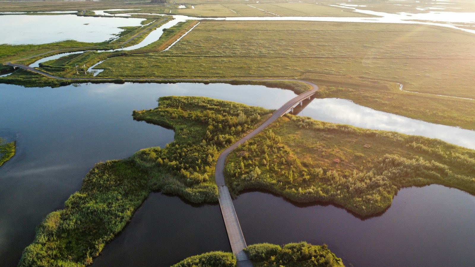Aerial view of green islands, tidal channels and a footbridge across the water in the Biesbosch, Netherlands