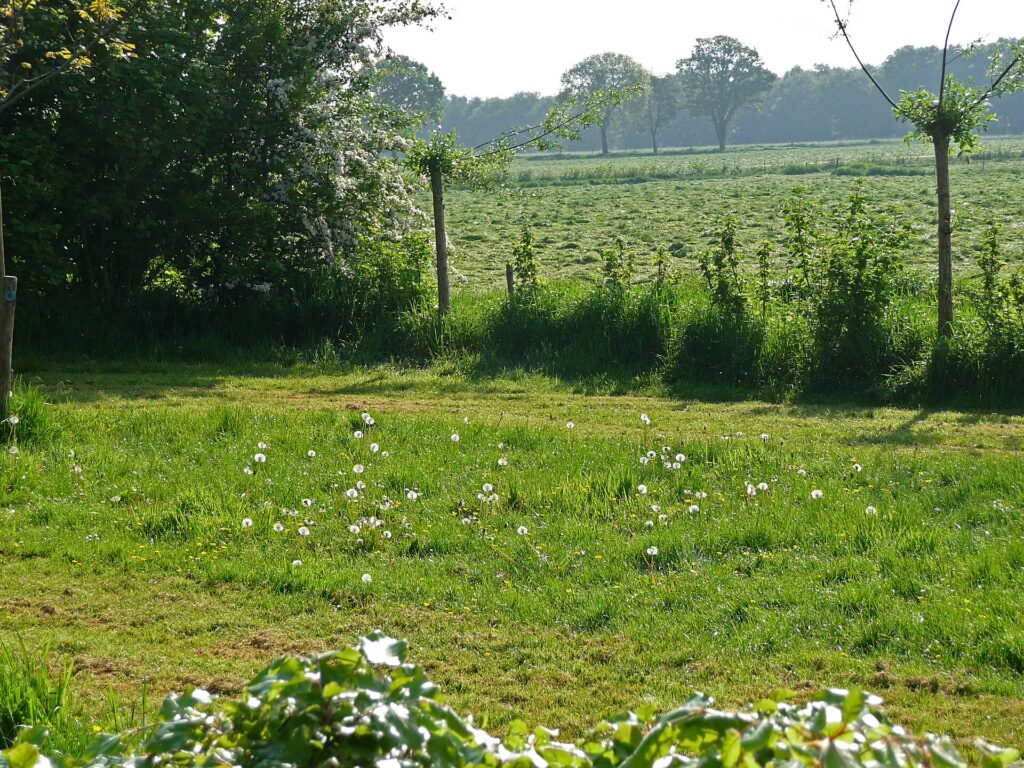 Discover Your Drenthe Ancestry: Heritage, Diaspora, and Family History