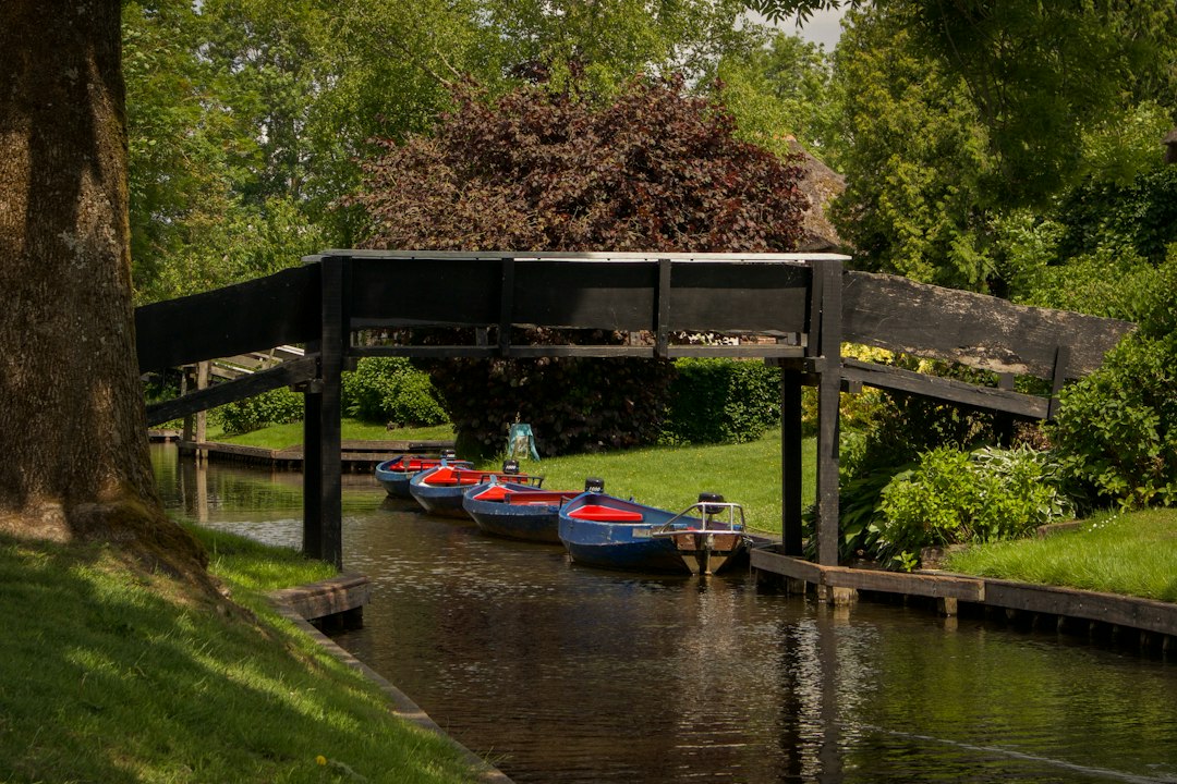 Discover Your Dutch Roots