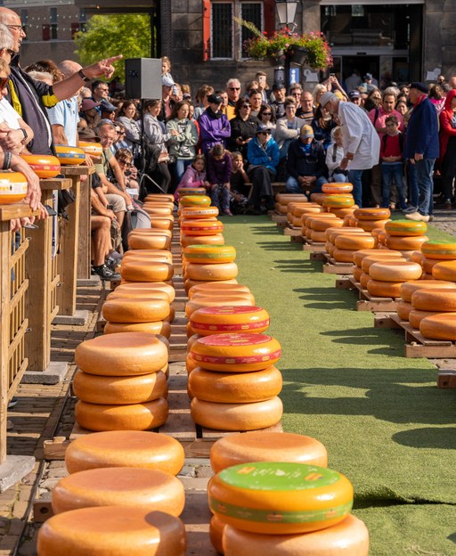 Alkmaar Cheese Market 2026: The Complete Guide to the Netherlands’ Most Iconic Tradition