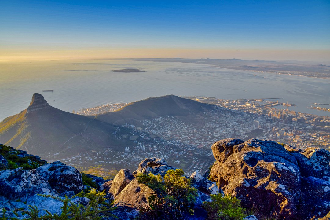 From Table Mountain to Amsterdam: Tracing Your Boer Roots
