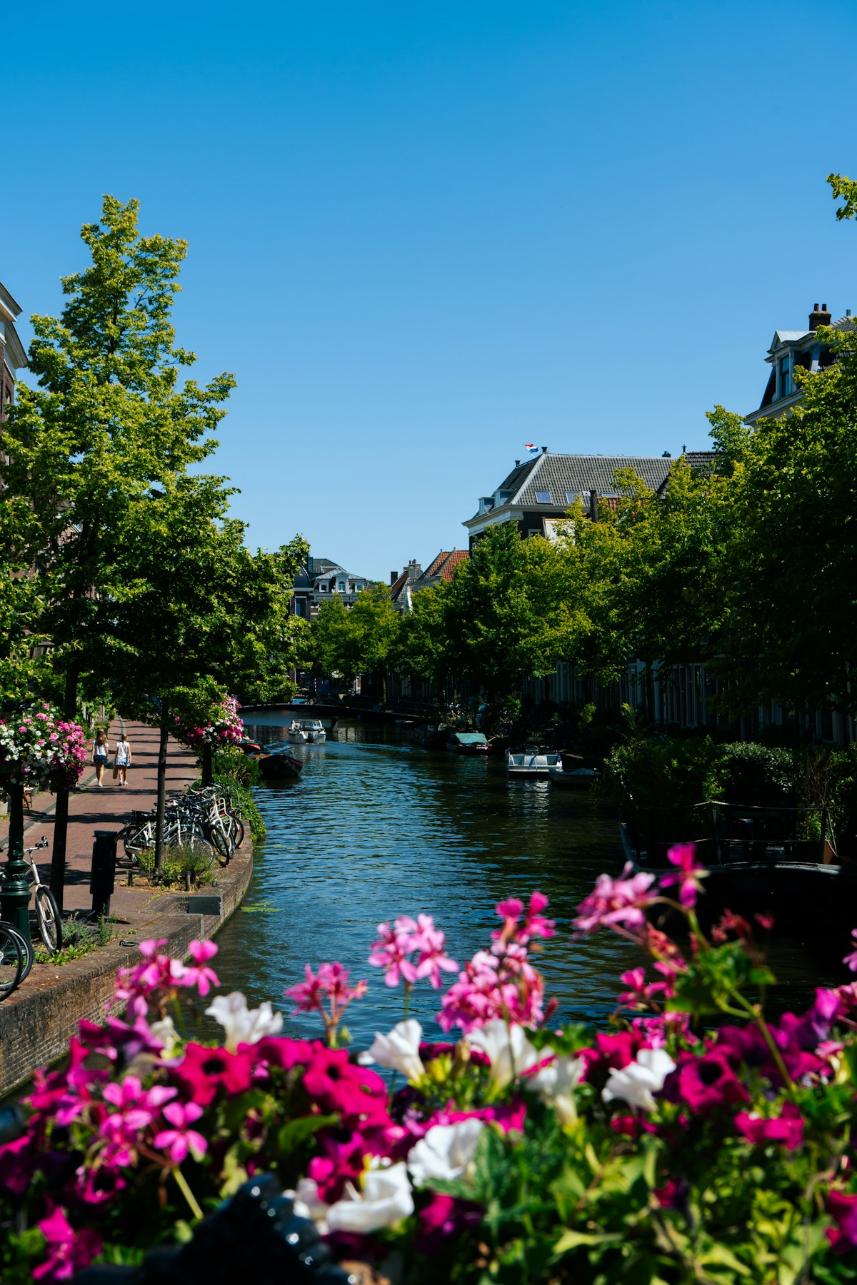 Leiden: Where Rembrandt Was Born and the Tulip Found Europe