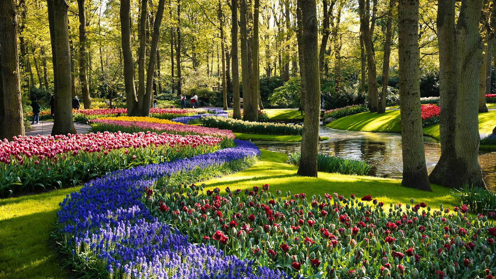 Keukenhof Gardens 2026 Guide