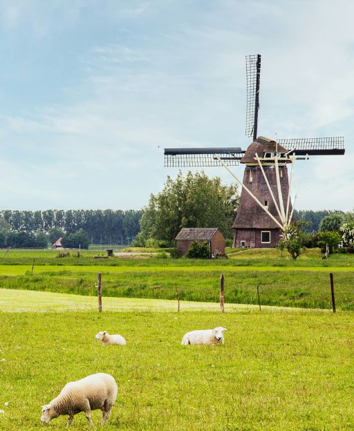 Visit Dutch Heritage Sites Canada